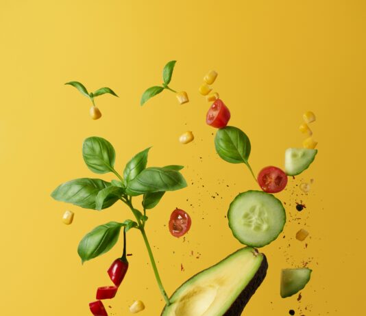 건강의 출발점, 영양: 최신 연구와 트렌드로 읽는 영양의 중요성