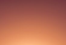 직장 생활 중 스트레스를 덜어주는 소소한 팁 silhouette of personr