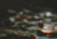 “내 몸에 맞는 대체요법, 어떻게 실생활에 적용할까?” pink and white lotus flower