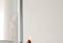 일상 속 자연스러운 건강관리, ‘대체요법’이 주목받는 이유 person holding orange flower in front of white wall